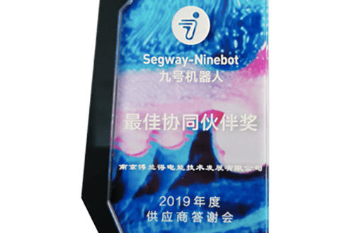 Ninebot - Best Collaborative Partner Award