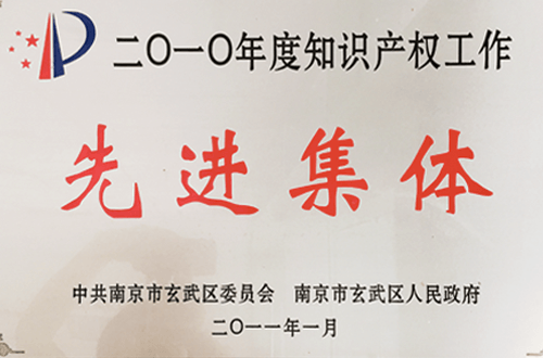 Advanced Group of Intellectual Property Work in 2010