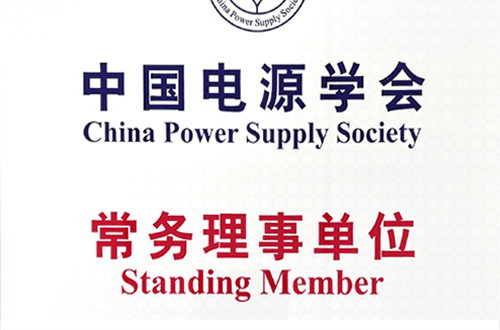 China Power Supply Association - Managing Director