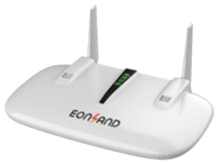 Wireless Mesh Gateway