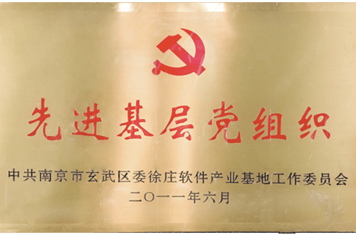 Advanced grass-roots party organization